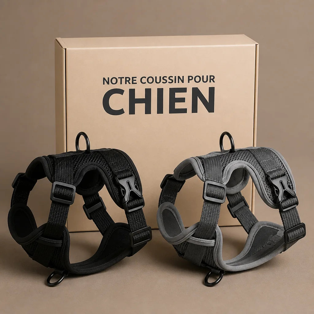 harnais-chien-pour-ne-pas-tirer