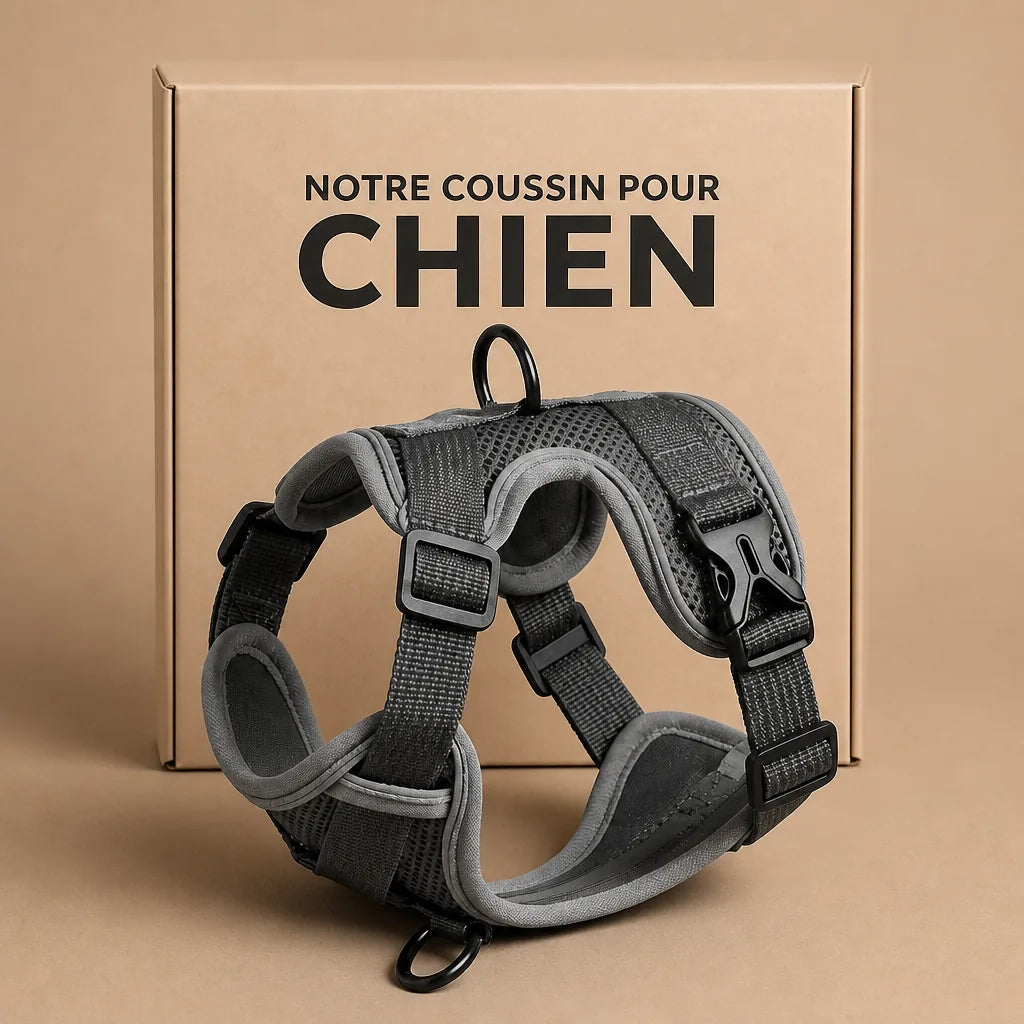 Harnais Chien Pour Ne Pas Tirer