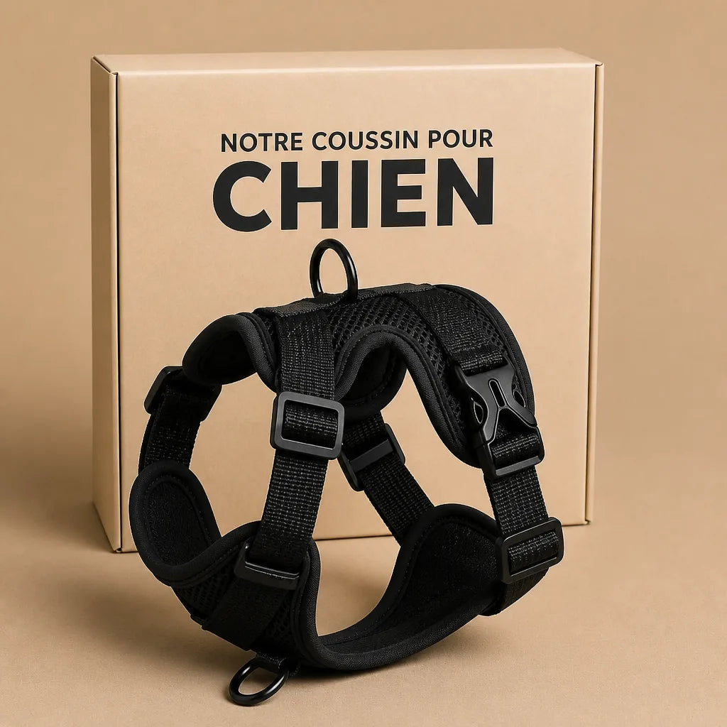 Harnais Chien Pour Ne Pas Tirer