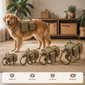 harnais-chien-pour-tracter