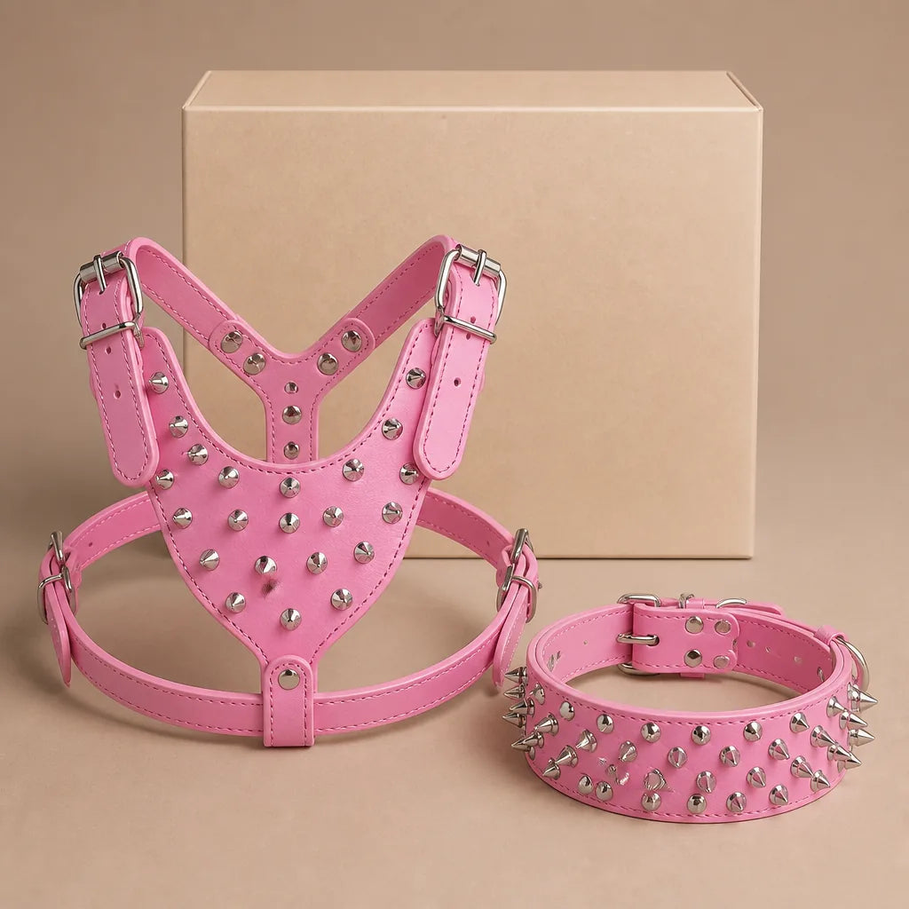 Harnais Cuir Pour Chien Molosse