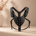 Harnais Cuir Pour Chien Molosse
