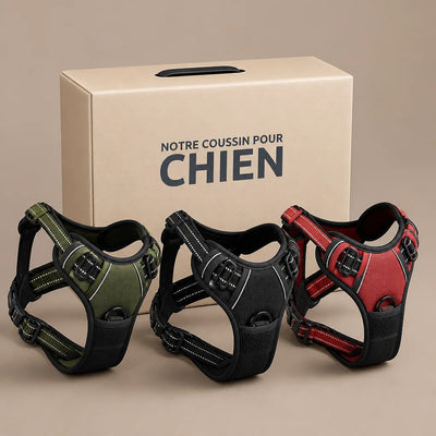 VOTRE ARTICLE