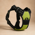 Harnais De Controle Pour Chien