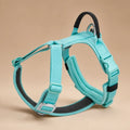Harnais De Marche Pour Chien