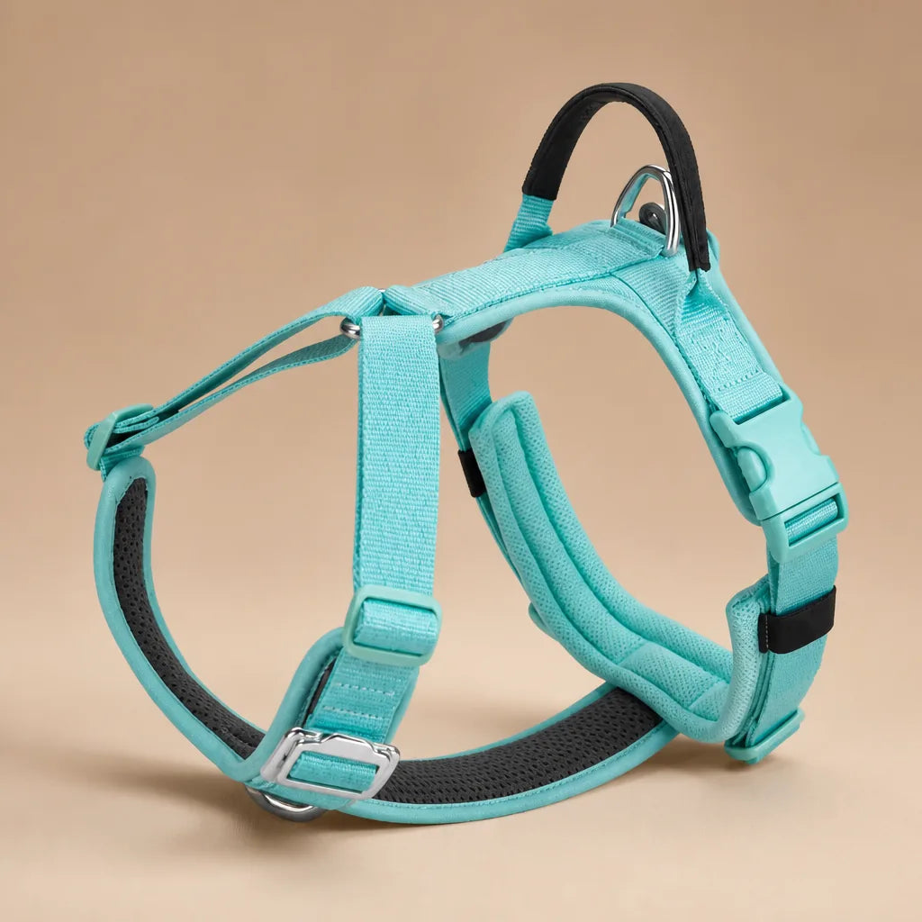 Harnais De Marche Pour Chien