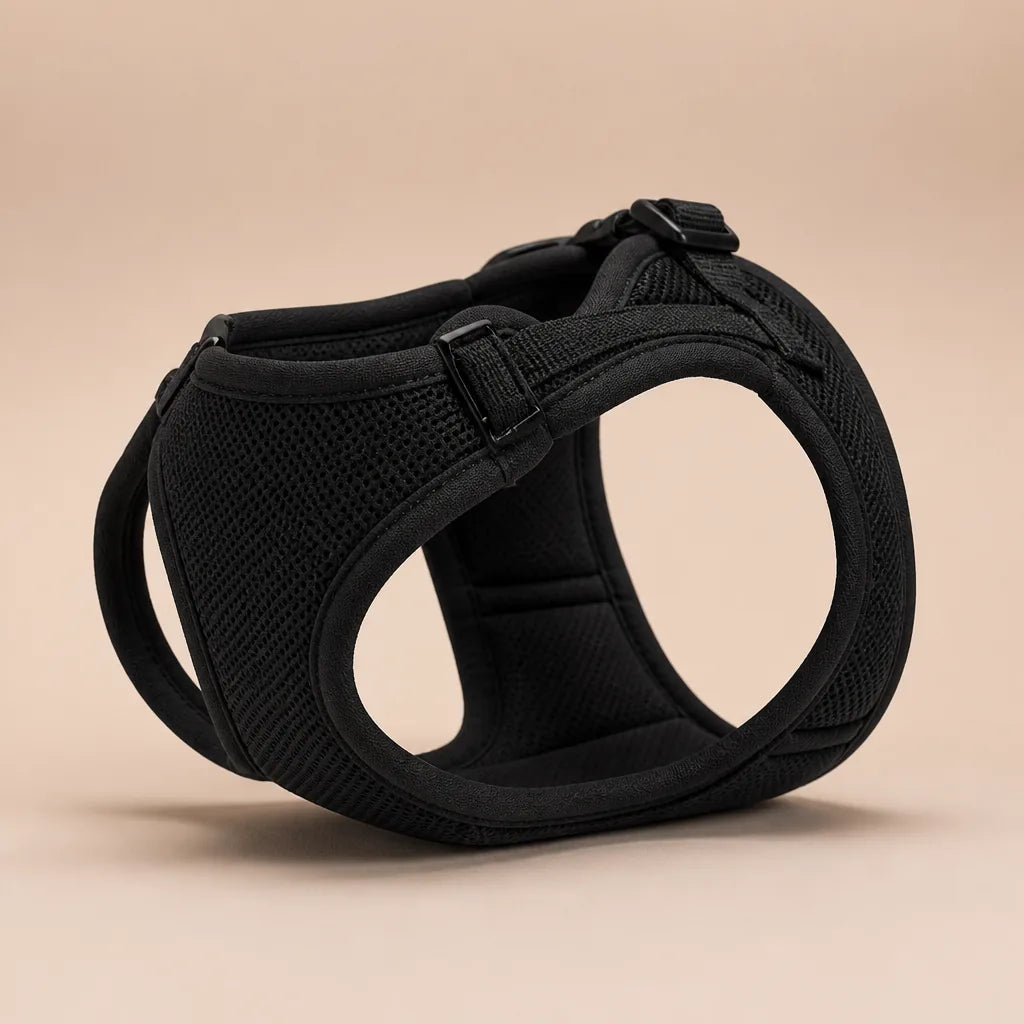Harnais De Portage Pour Chien