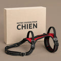 harnais-de-soutien-pour-chien