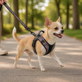 Harnais Ergonomique Pour Chien