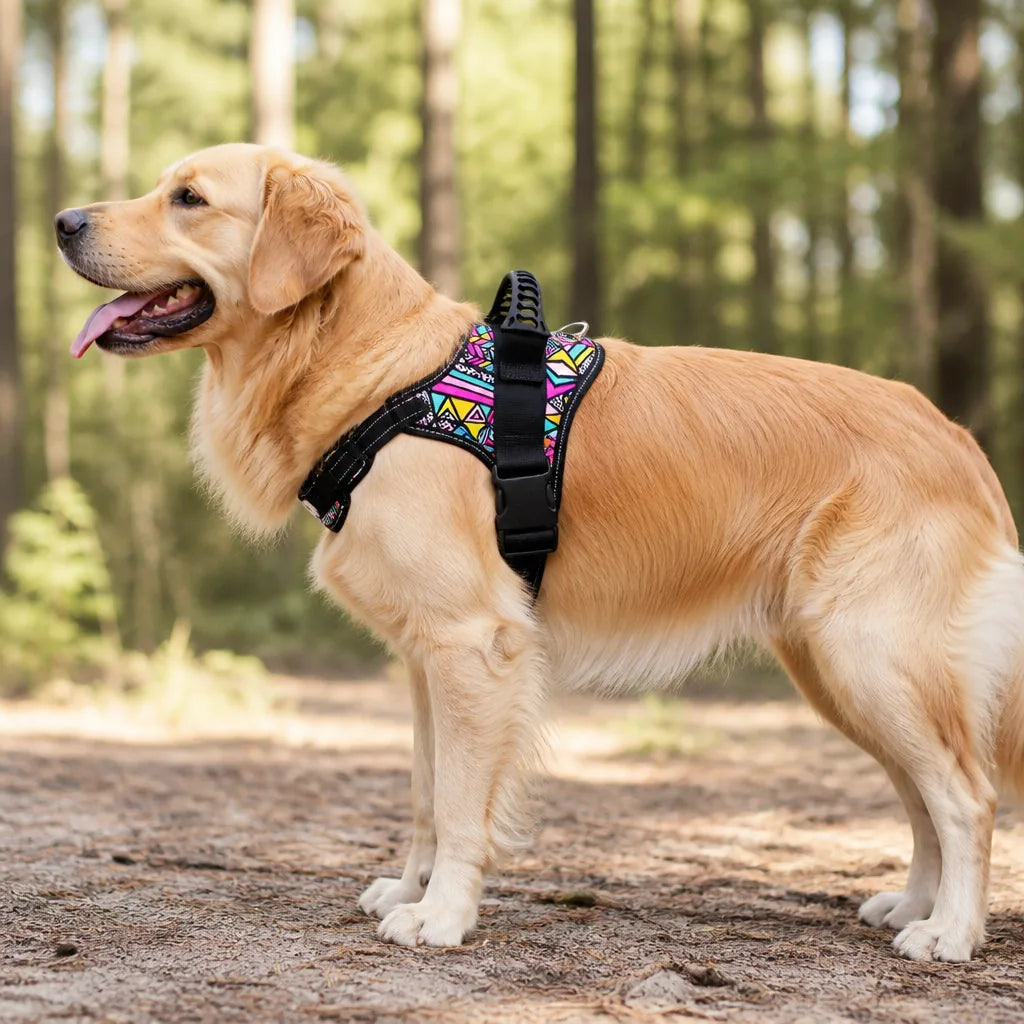 harnais-ergonomique-pour-chien