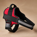 Harnais Personnalisable Pour Chien