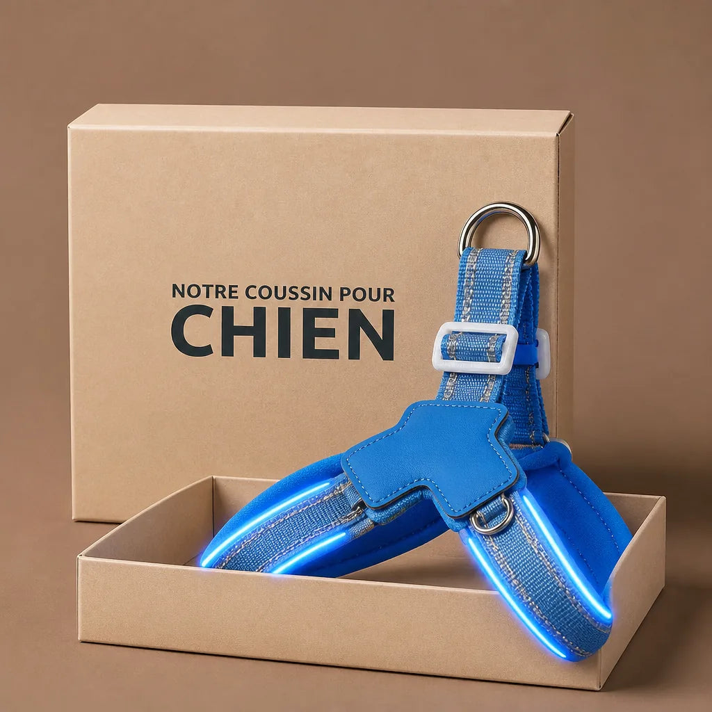 Harnais Pour Chien Bouledogue Francais