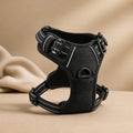 Harnais Pour Chien Jack Russel
