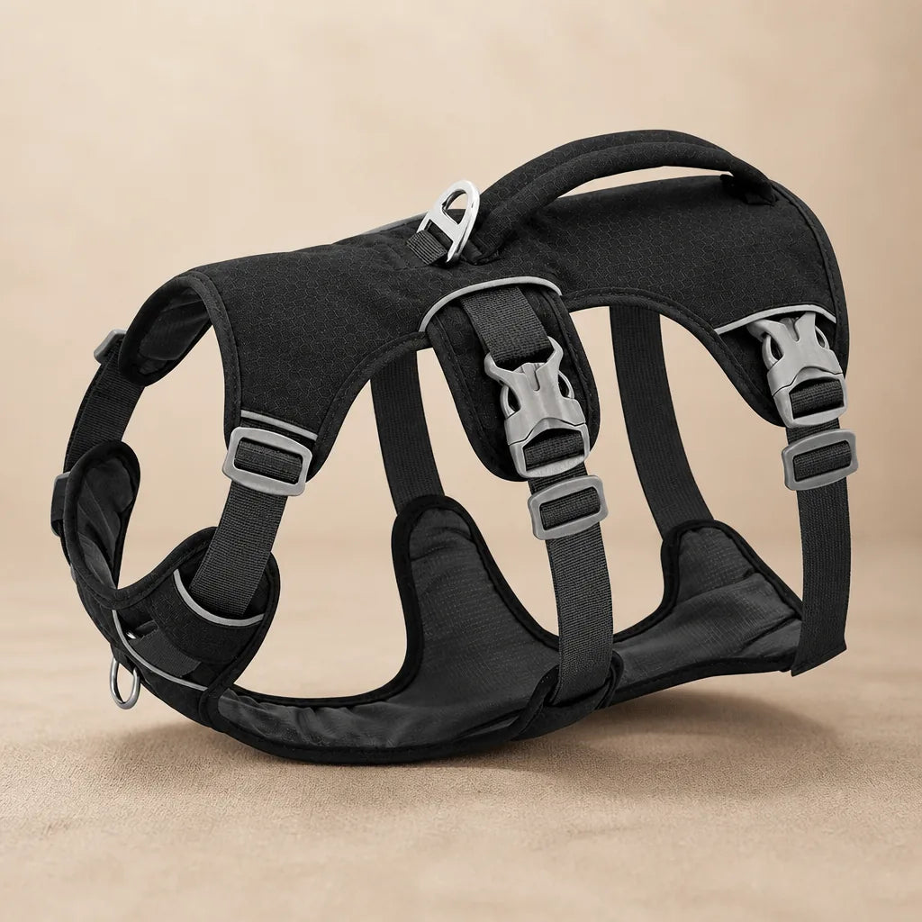 Harnais Pour Chien K9