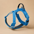 Harnais Pour Chien Malinois