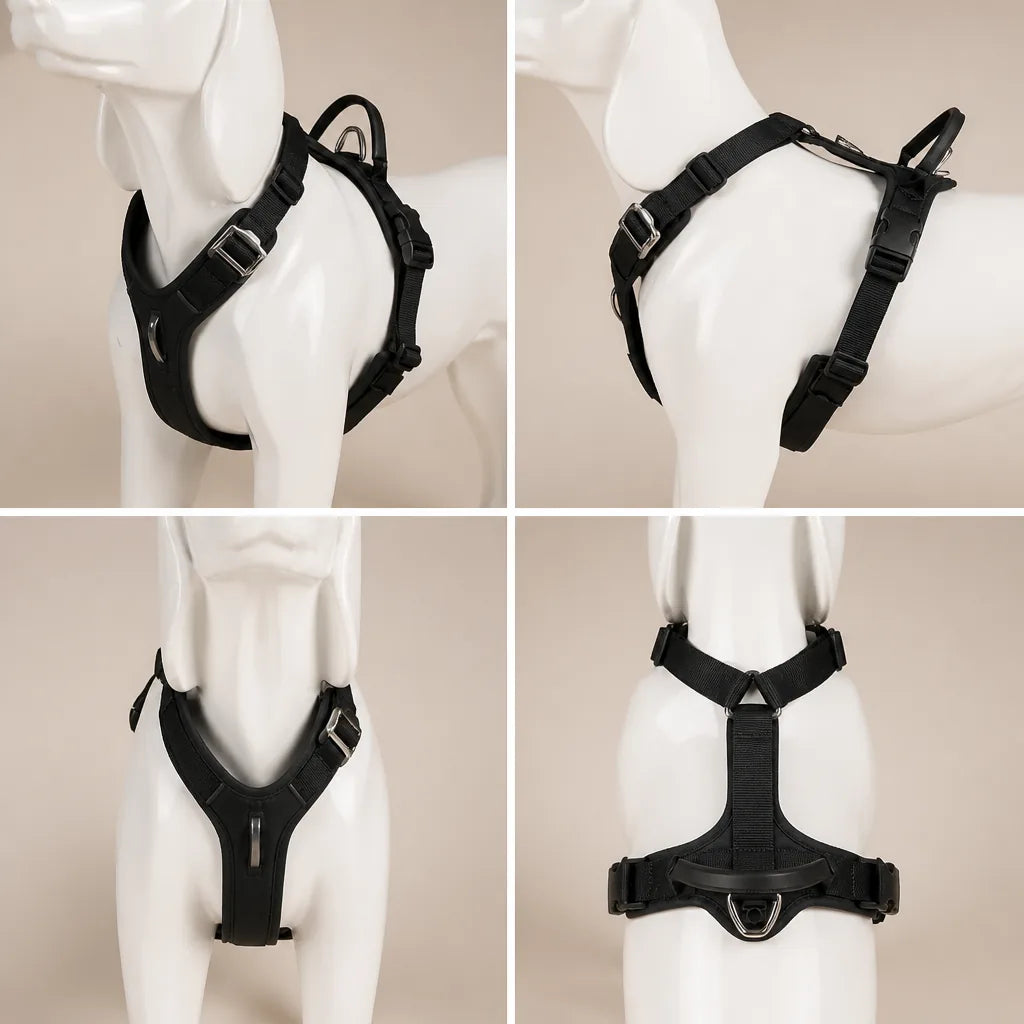 Harnais Pour Chien Malinois