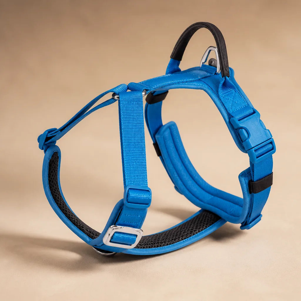 Harnais Pour Chien Petite Taille