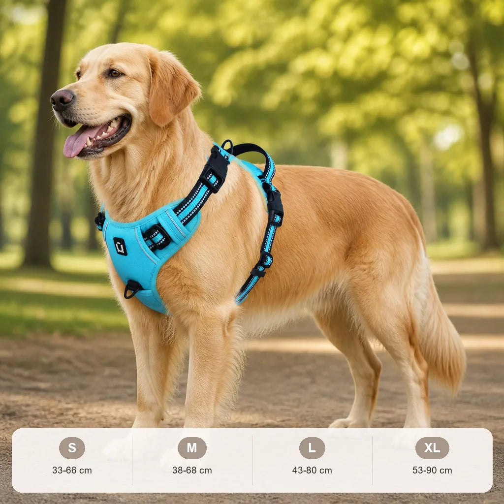 harnais-pour-chien-randonnee