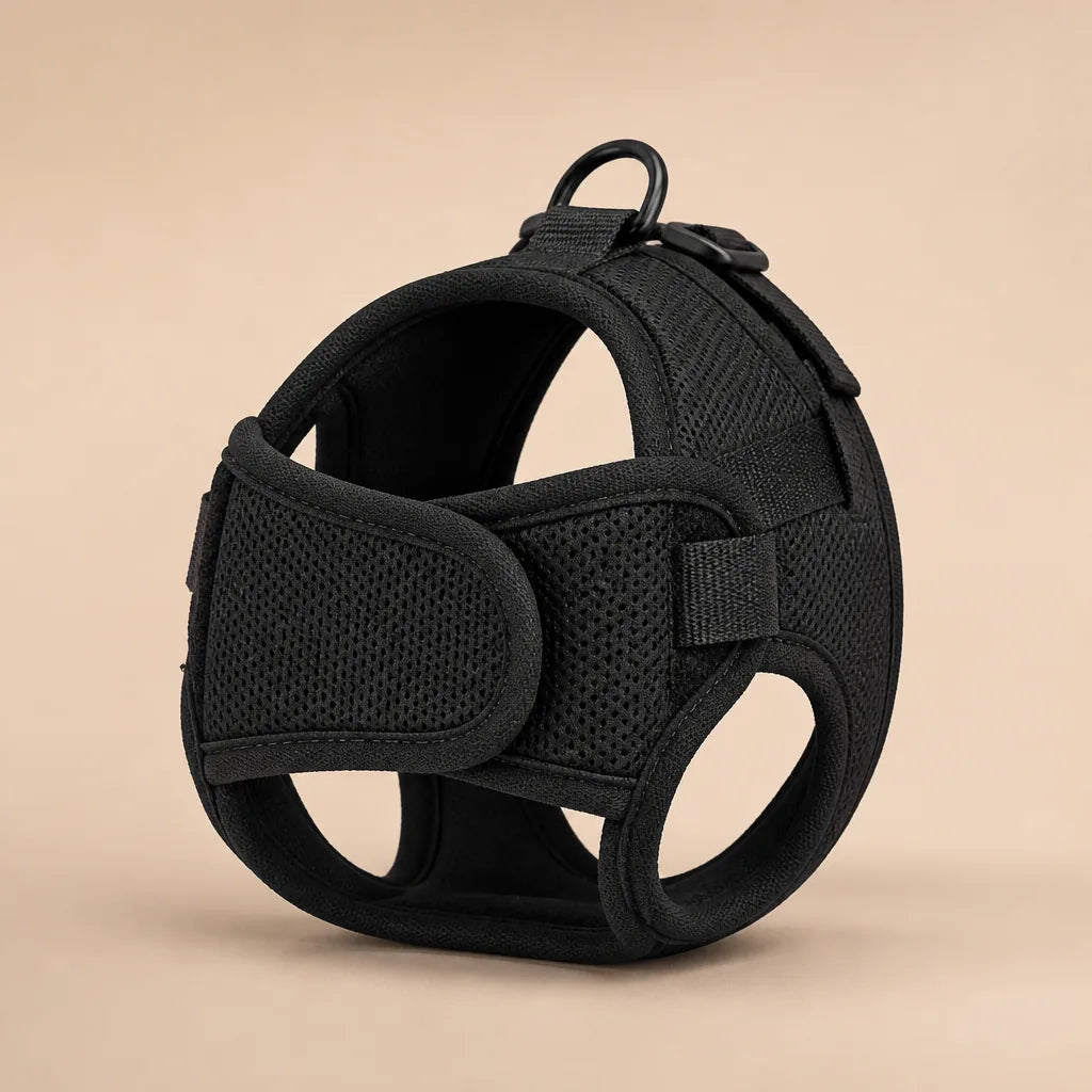 Harnais Pour Chien Taille M