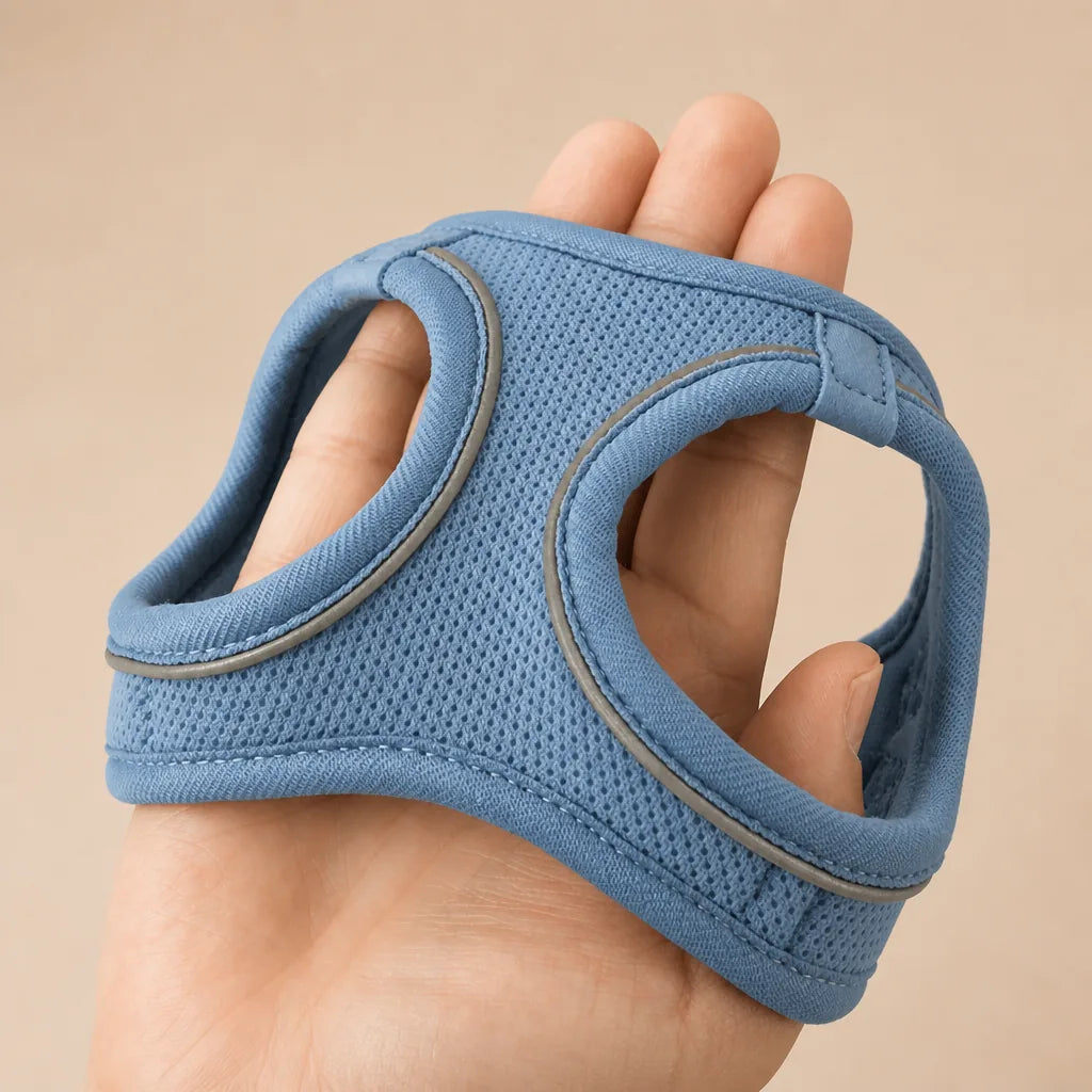 Harnais Pour Chien Taille M