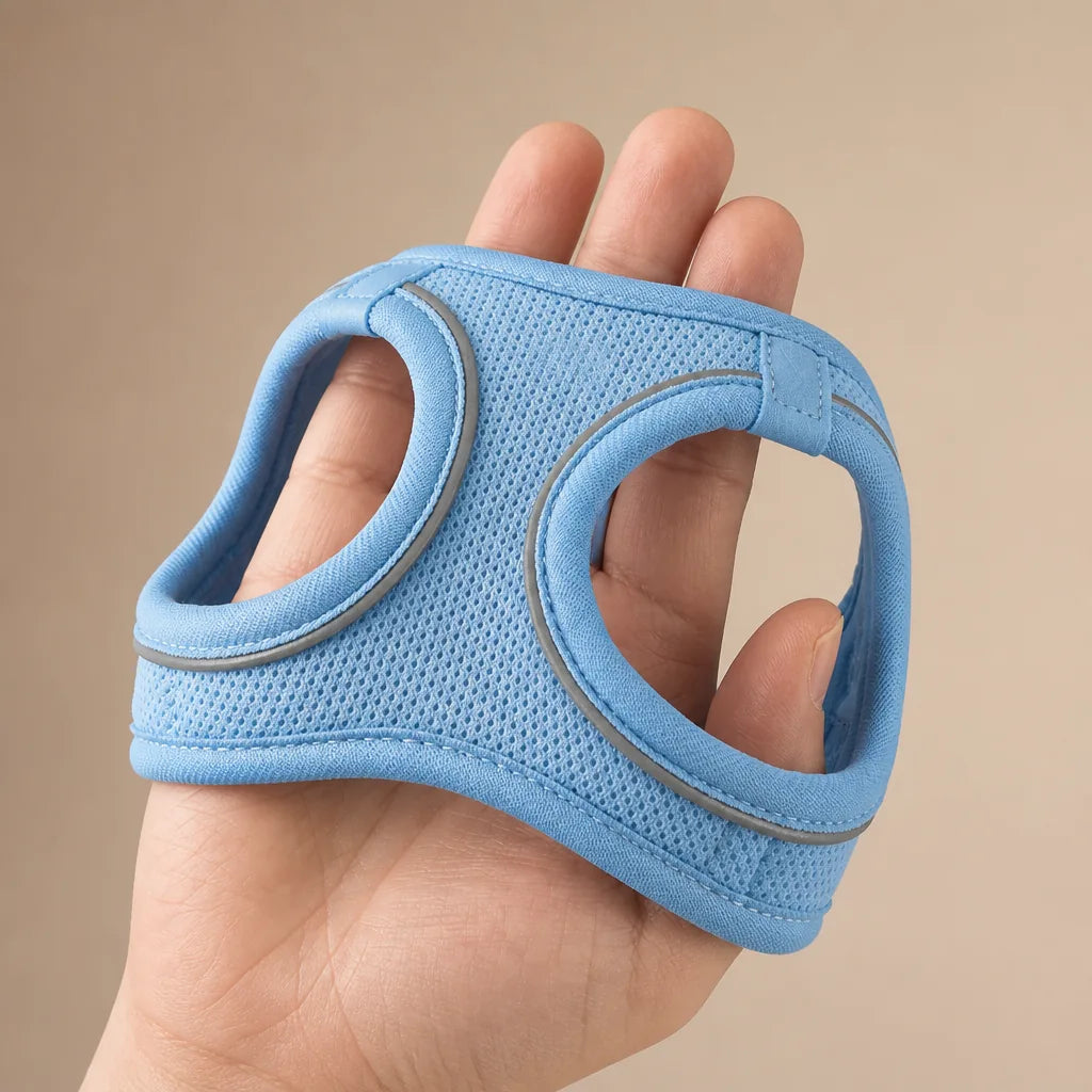 Harnais Pour Chien Teckel