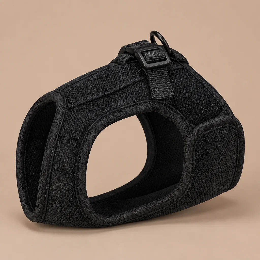 Harnais Pour Chien Teckel