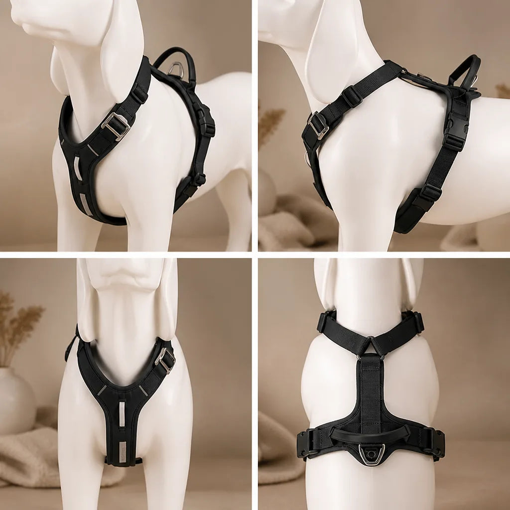 Harnais Pour Chien Velo