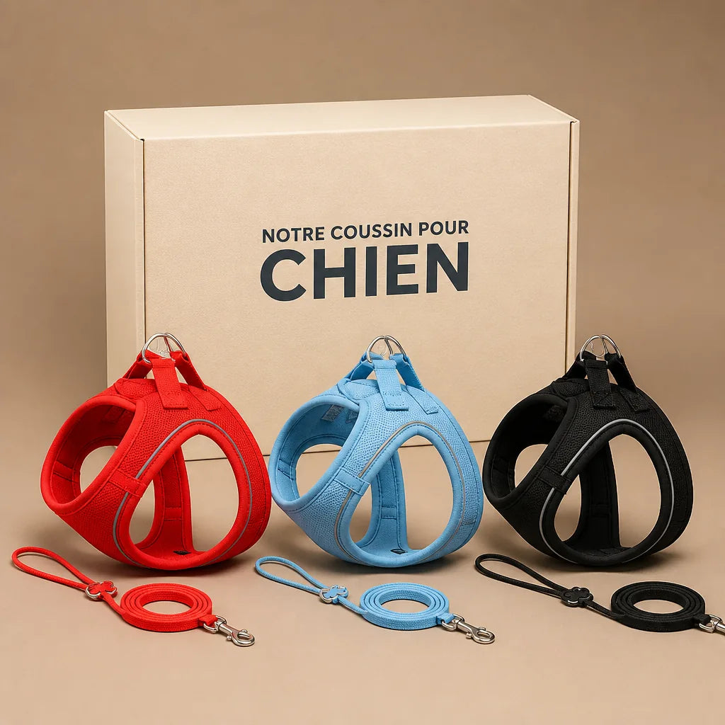 harnais-pour-petit-chien-chihuahua