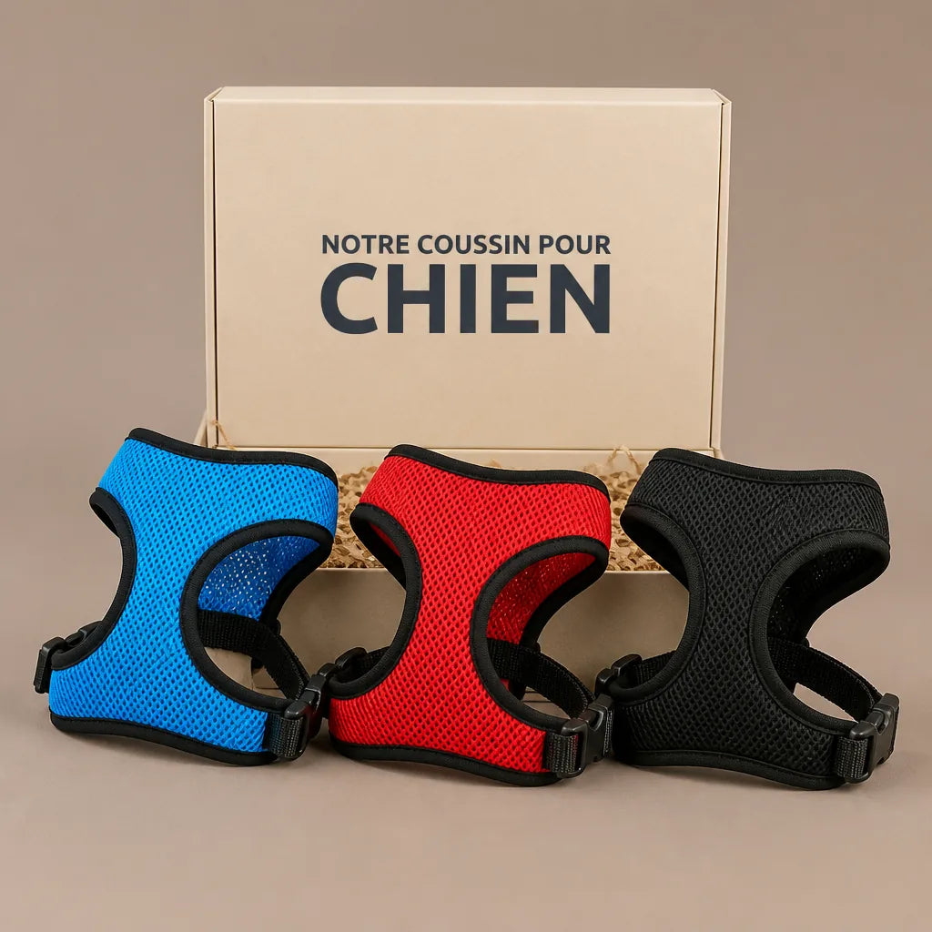 harnais-pour-petit-chien