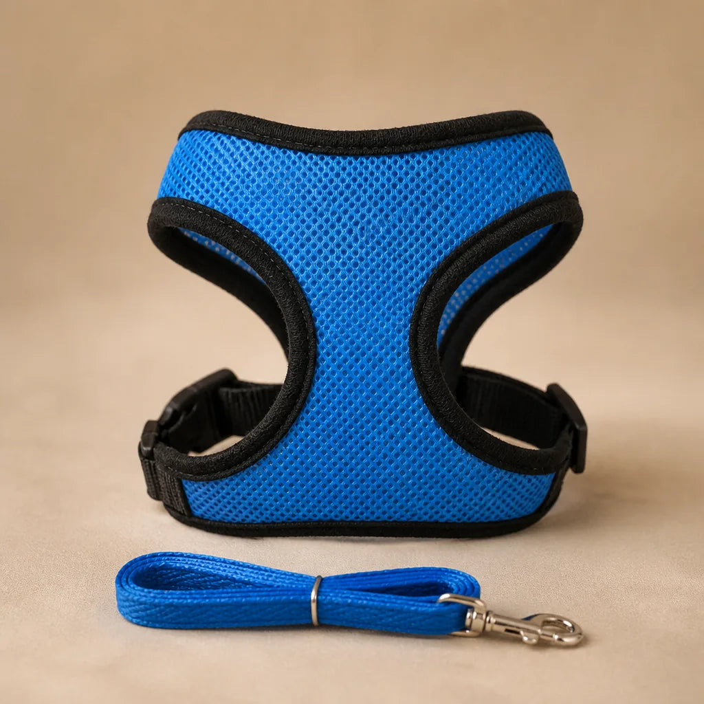 Harnais Pour Petit Chien