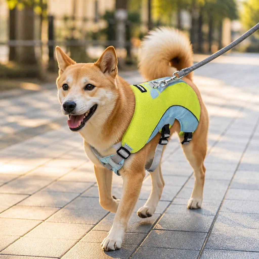 harnais-rafraichissant-pour-chien