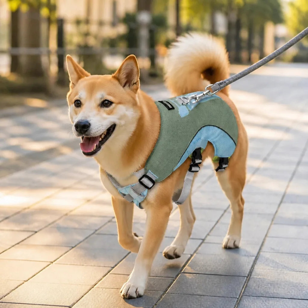 Harnais Rafraichissant Pour Chien