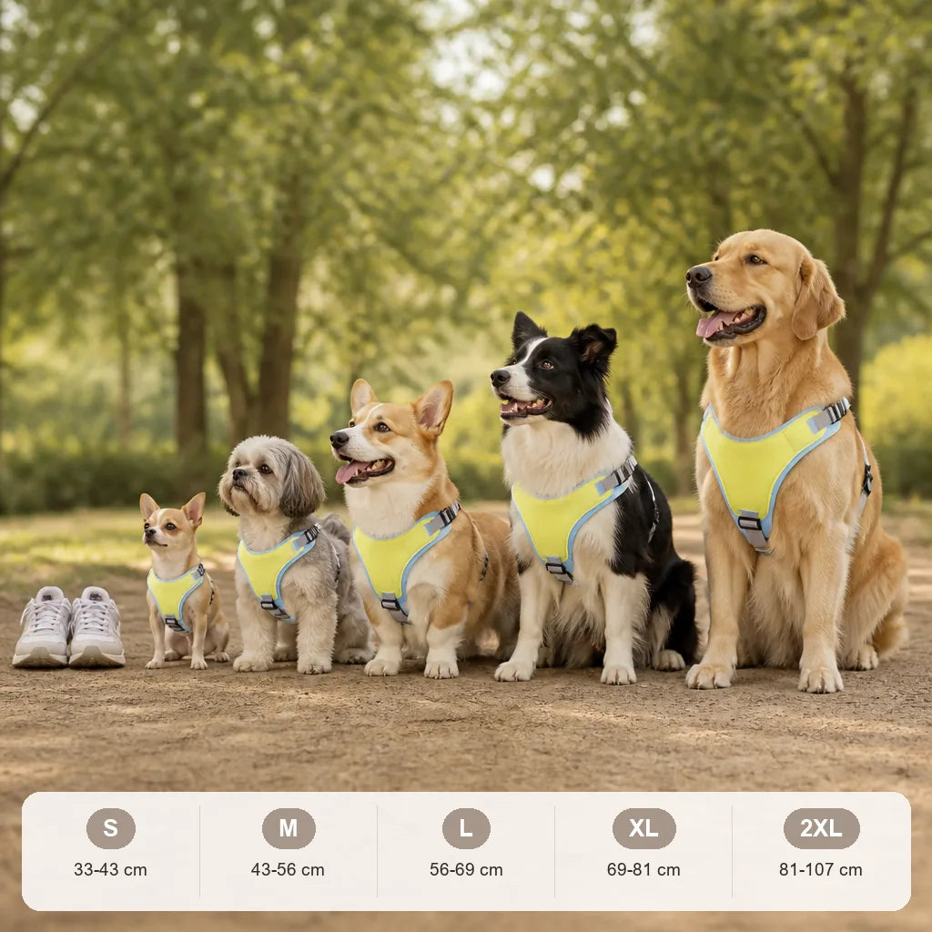 harnais-rafraichissant-pour-chien