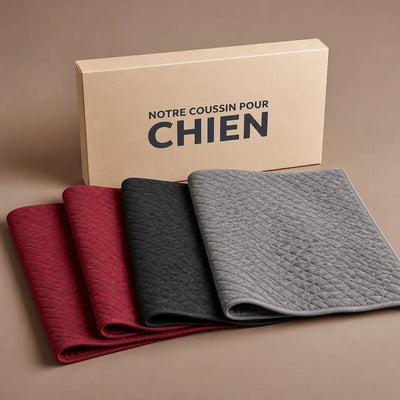 COUSSIN SOLO
