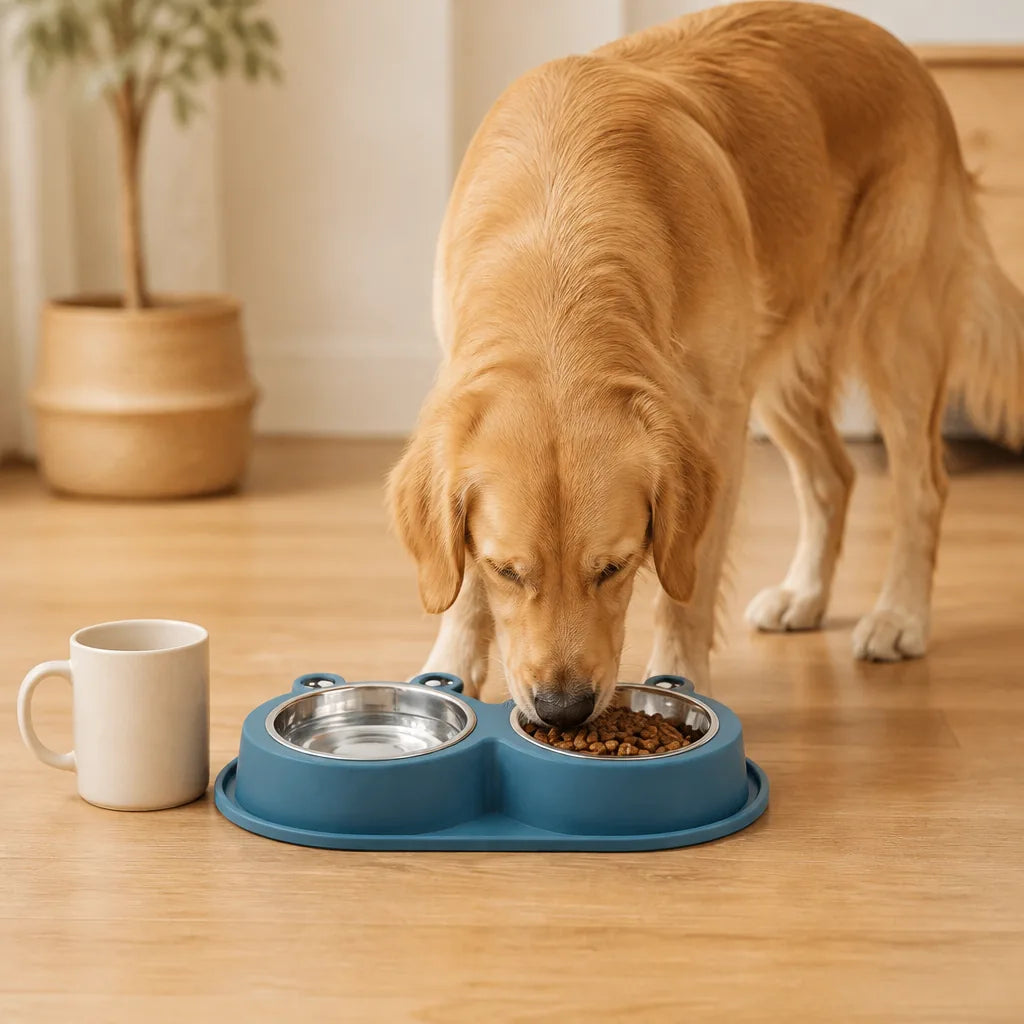 jolie-gamelle-pour-chien