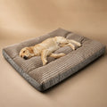 [ANCIEN] supprimer — Lit A Baldaquin Pour Chien