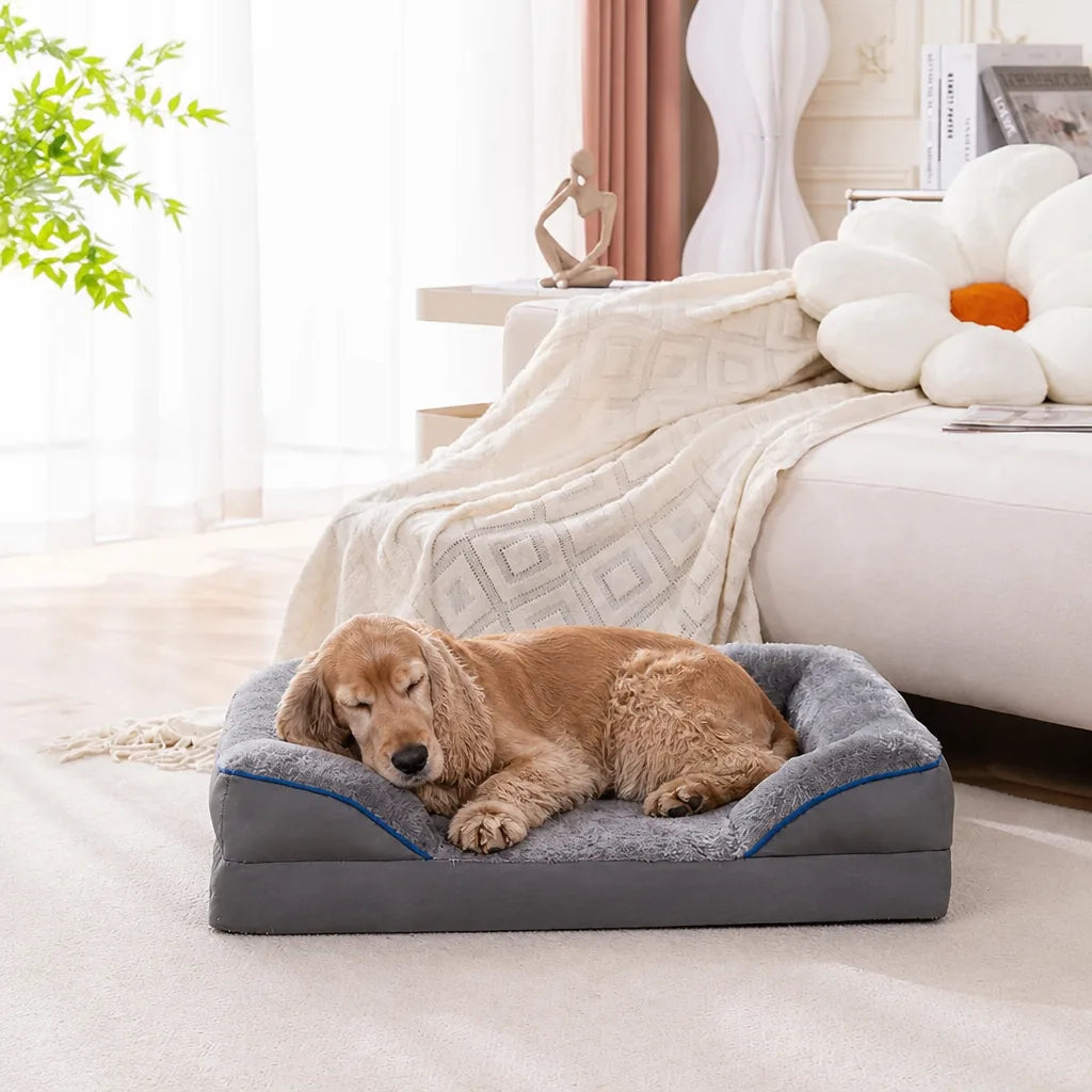 Lit à Mémoire de Forme Pour Chien