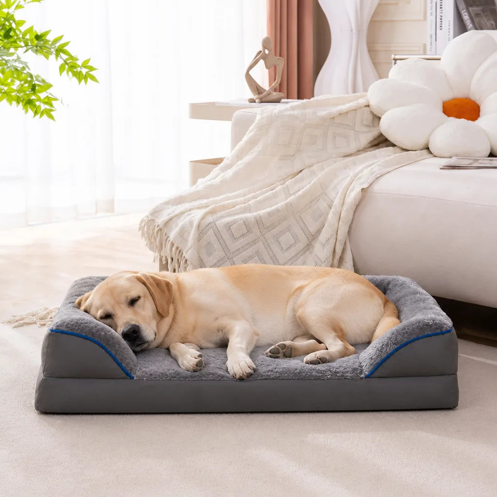 Lit à Mémoire de Forme Pour Chien