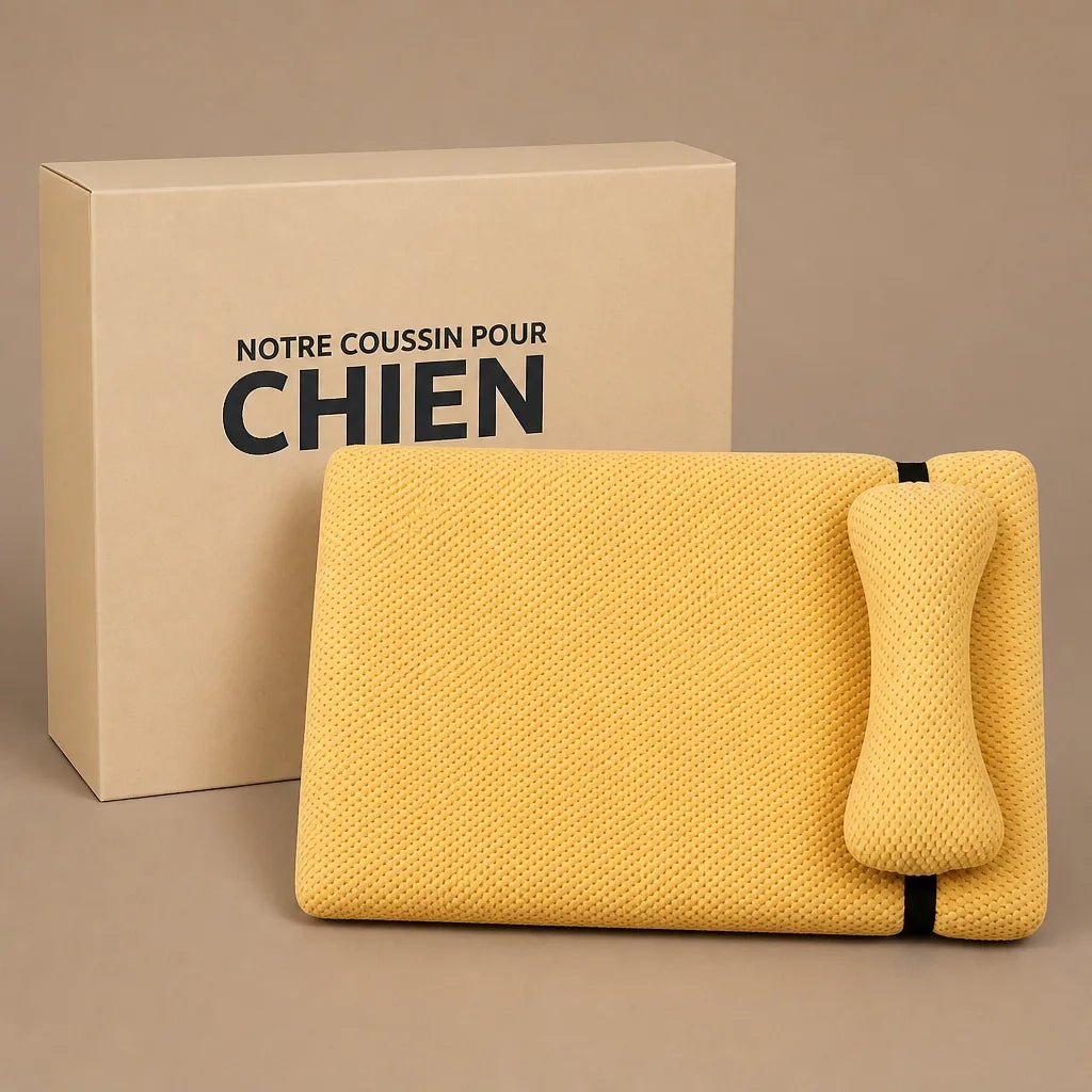 lit-anti-stress-pour-chien