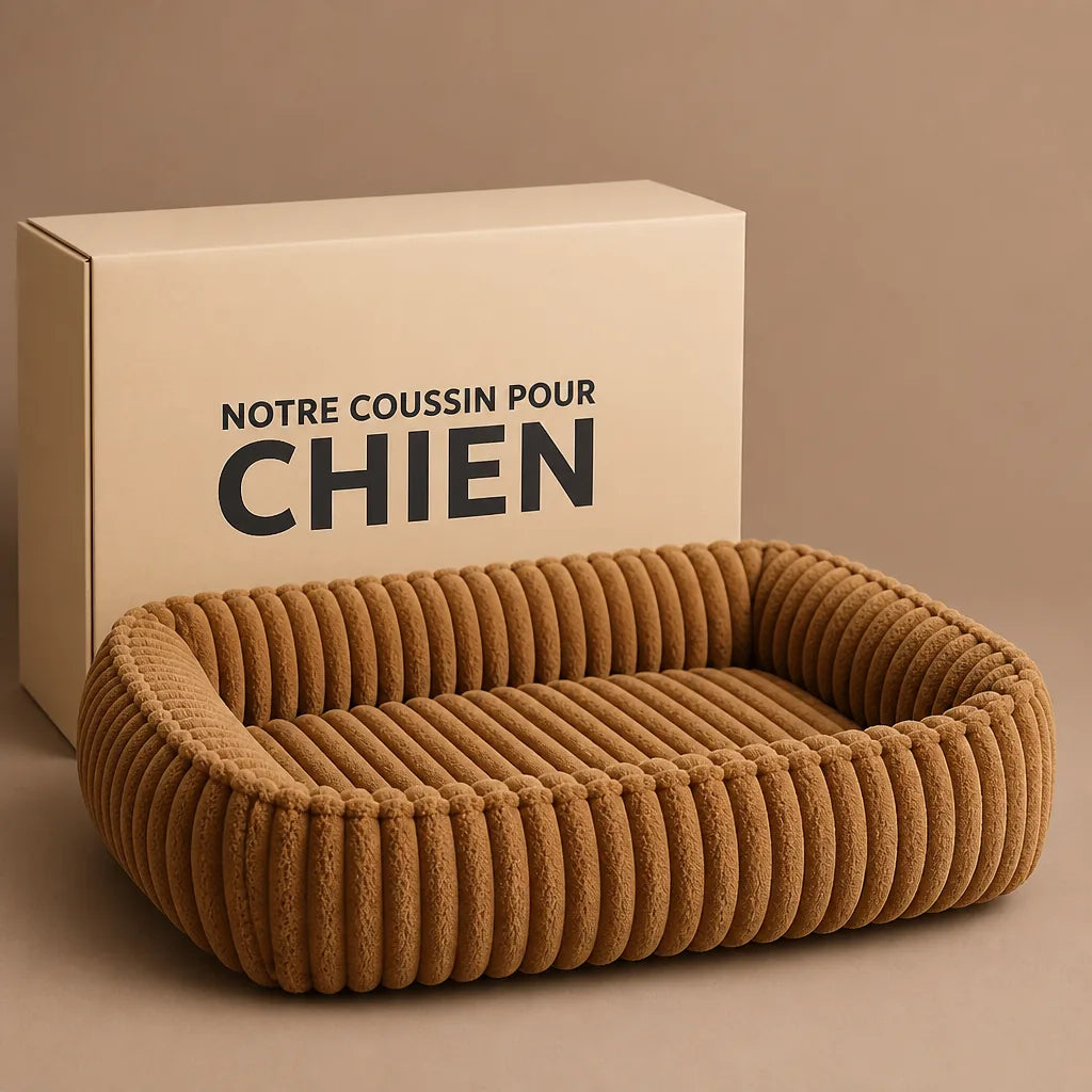 lit-apaisant-pour-chien