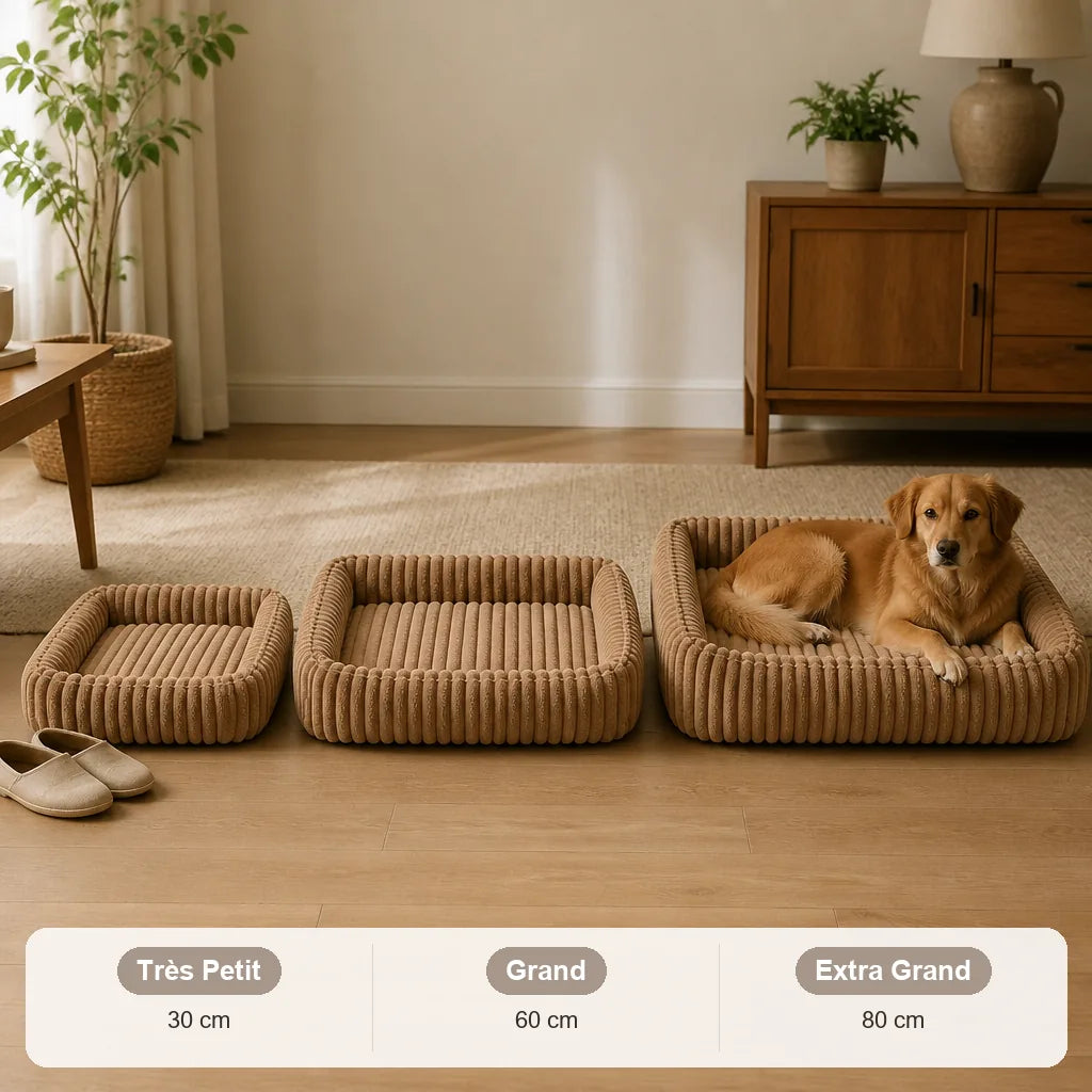 lit-baroque-pour-chien