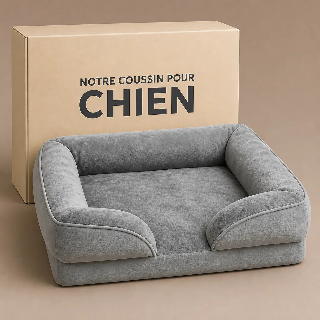 lit-canape-orthopedique-pour-chien