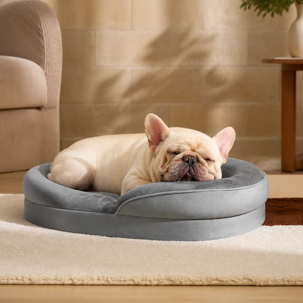 Lit Canapé Orthopédique Pour Chien