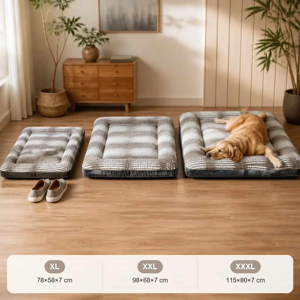 lit-de-camp-pour-chien-xxl