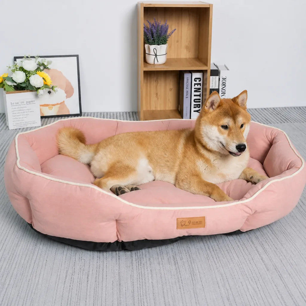 Lit Design Pour Chien