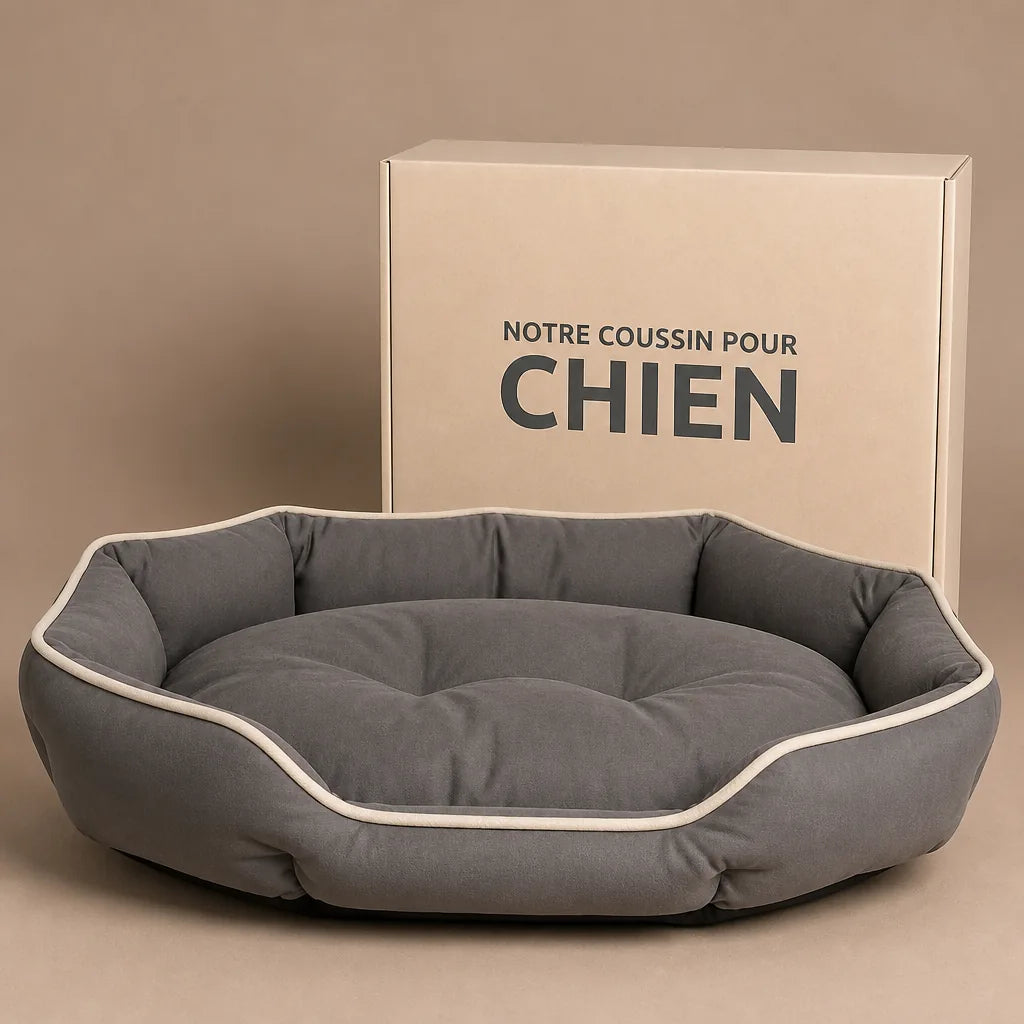 lit-design-pour-chien