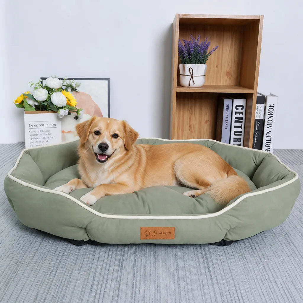 Lit Design Pour Chien