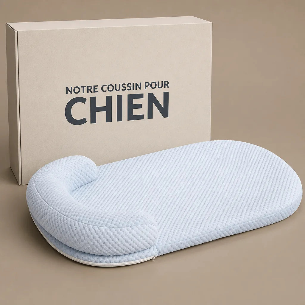 lit-douillet-pour-petit-chien