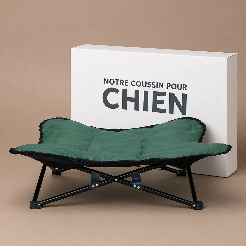 Lit Extérieur Pour Chien