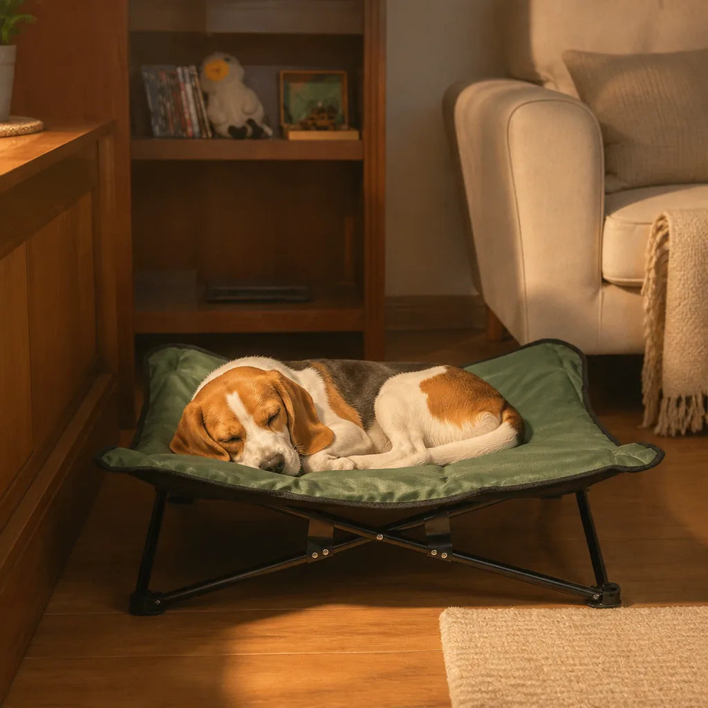 Lit Extérieur Pour Chien